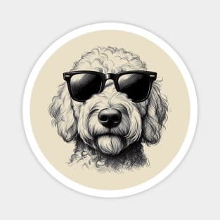 Goldendoodle Dog Wearing Sunglasses Drawing Magnet